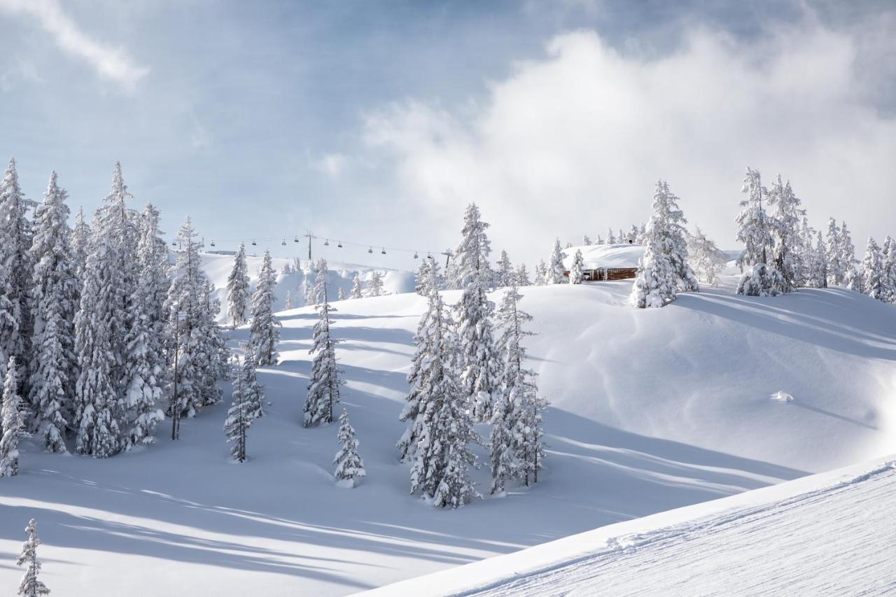 Niederseer Saalbach-Hinterglemm